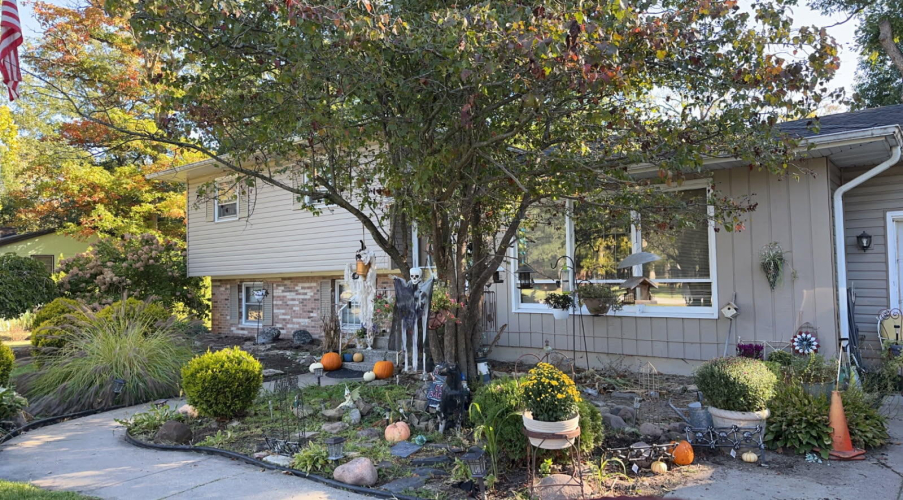 Listing Image 7