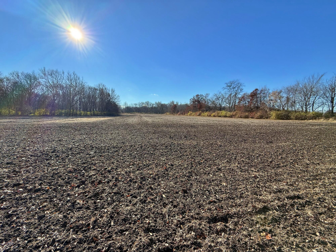 Listing Image 17