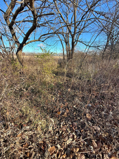 Listing Image 18