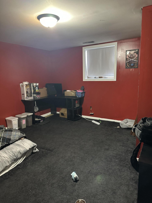 Listing Image 23
