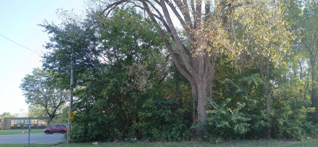Listing Image 8