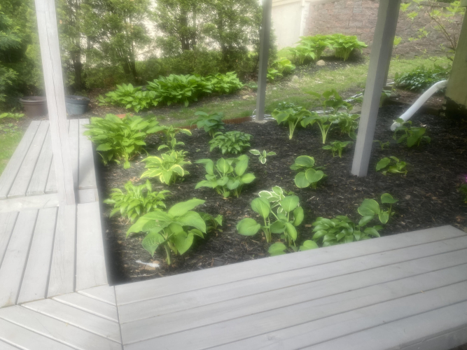 Listing Image 52