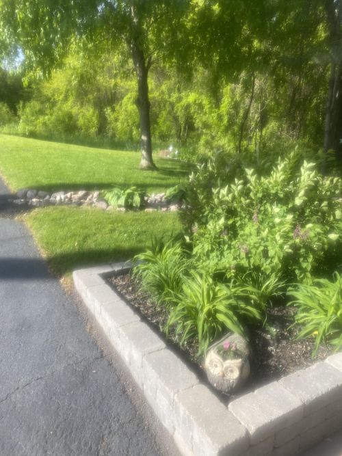 Listing Image 53
