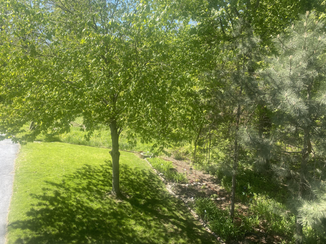 Listing Image 56