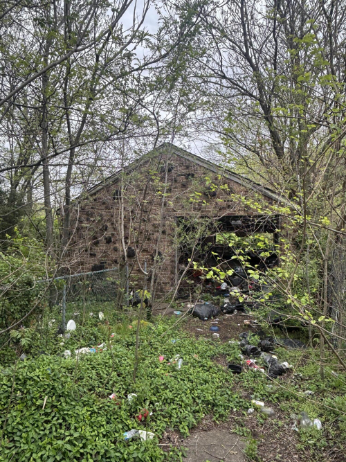 Listing Image 11