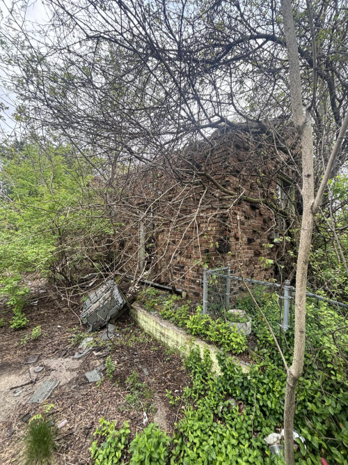 Listing Image 8