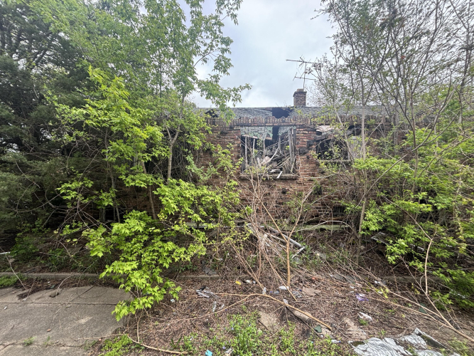 Listing Image 9