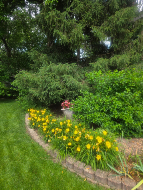 Listing Image 55