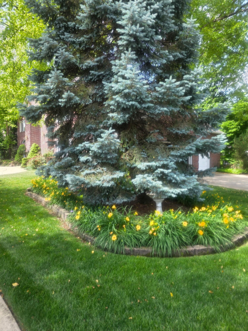 Listing Image 56