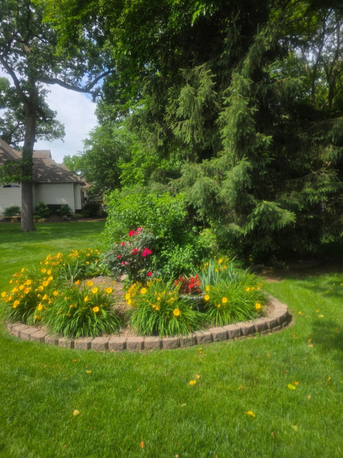 Listing Image 57