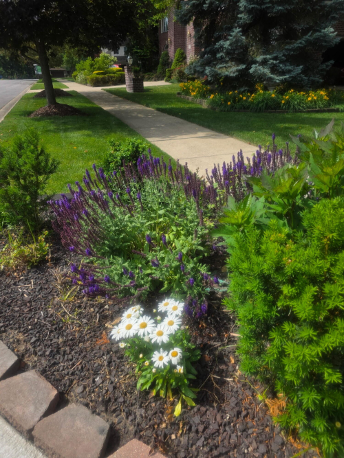 Listing Image 58
