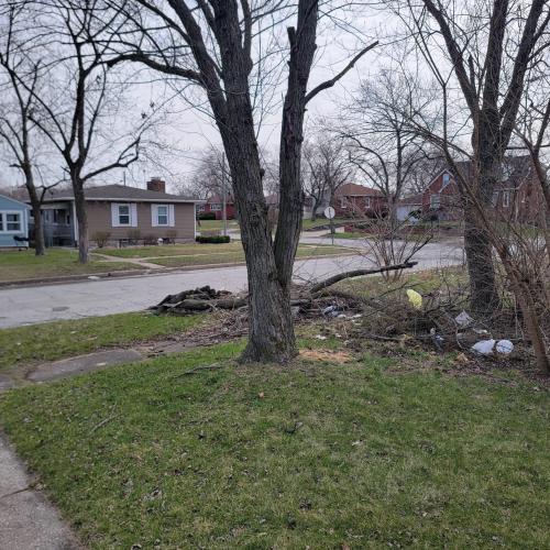 Listing Image 54