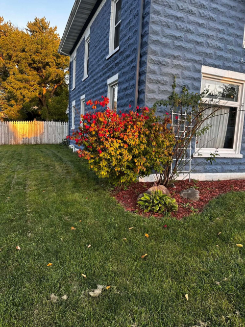 Listing Image 38