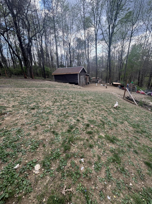 Listing Image 3