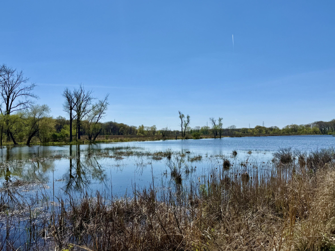 Listing Image 41