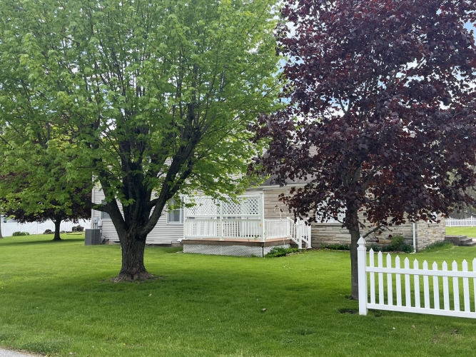Listing Image 93