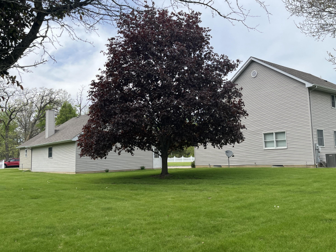 Listing Image 96