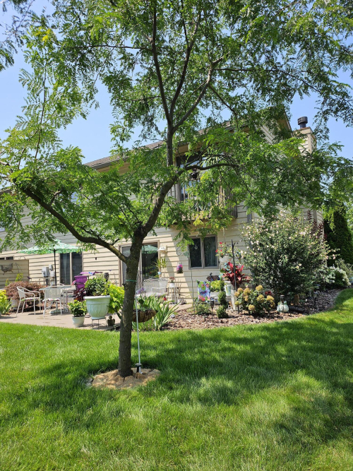 Listing Image 8