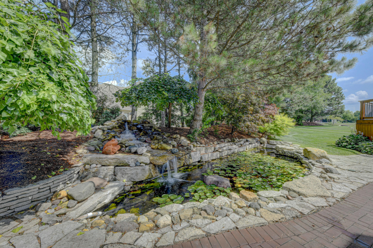 Listing Image 62