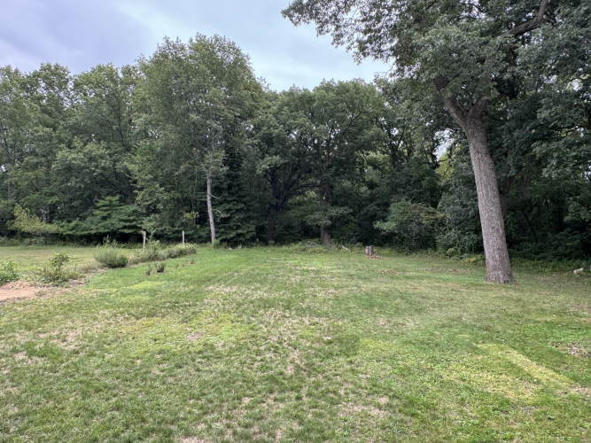 Listing Image 24
