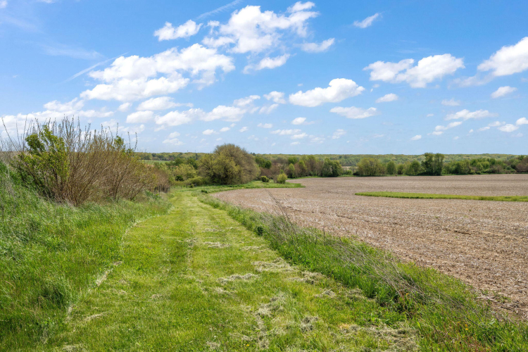 Listing Image 65