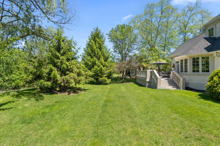 Listing Image 62