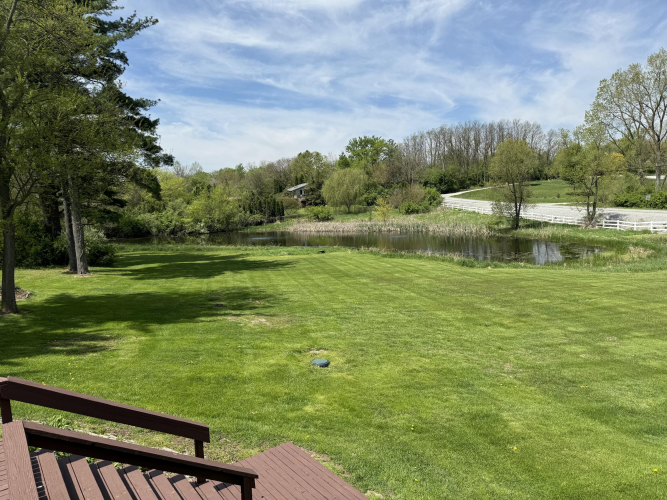 Listing Image 16