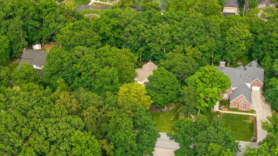 Listing Image 65