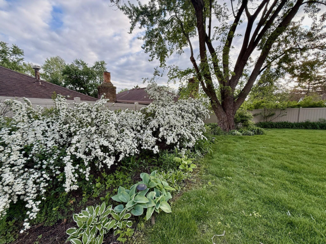 Listing Image 26