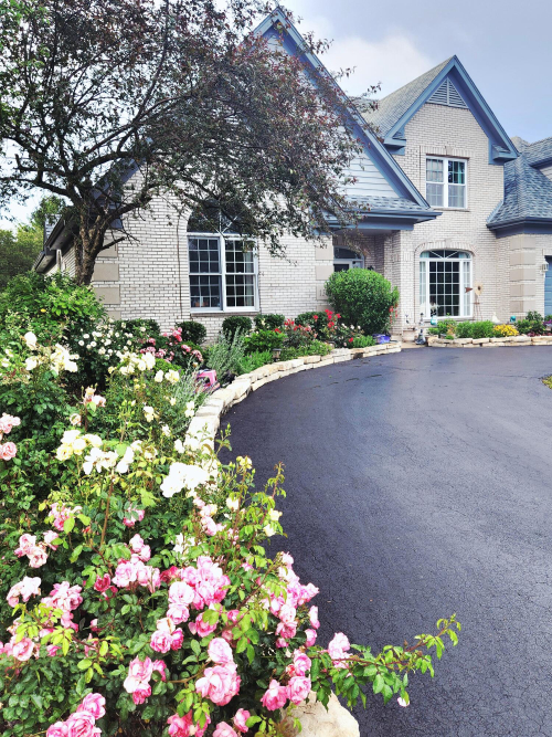 Listing Image 51