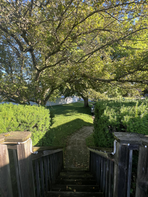 Listing Image 24