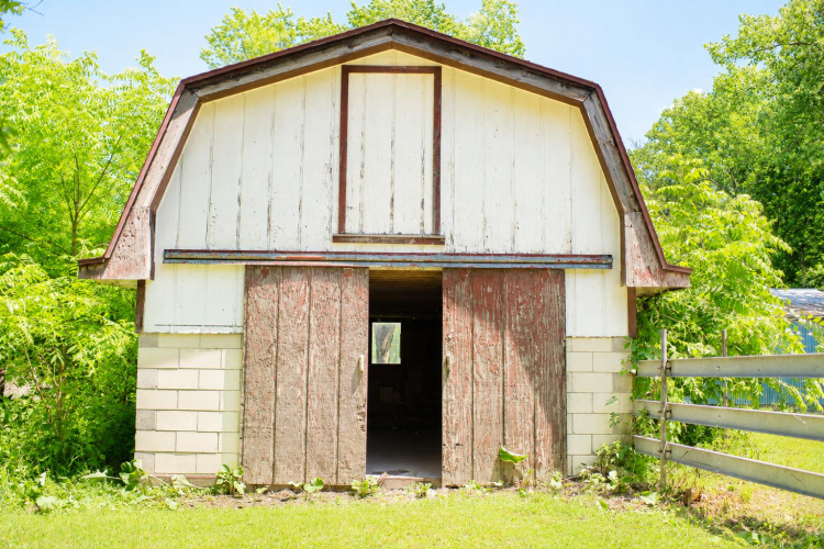Listing Image 28