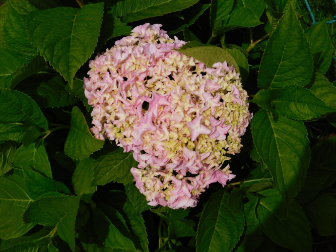 Listing Image 34