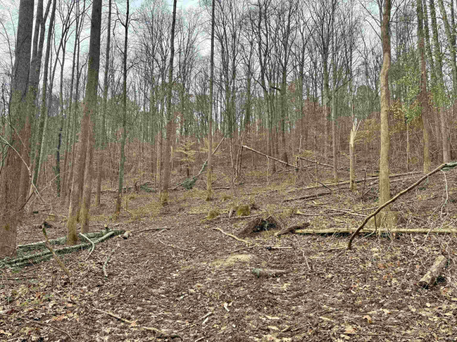 Listing Image 11