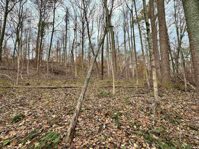 Listing Image 16