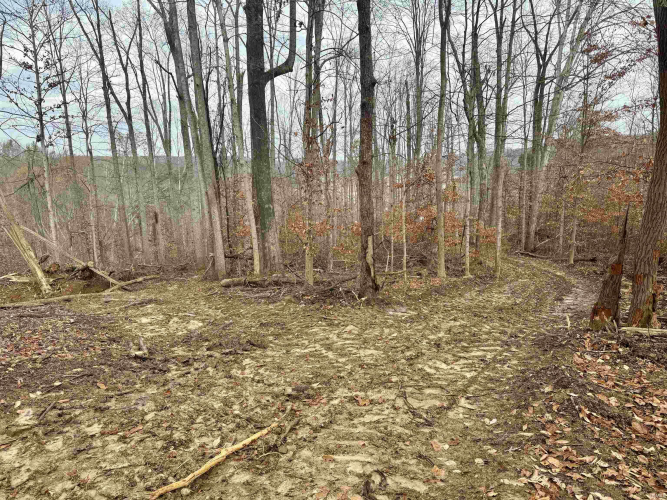 Listing Image 18