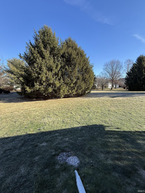 Listing Image 29