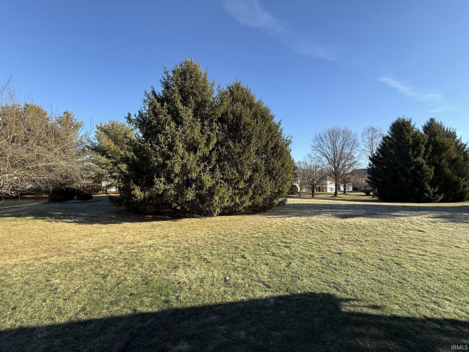 Listing Image 30