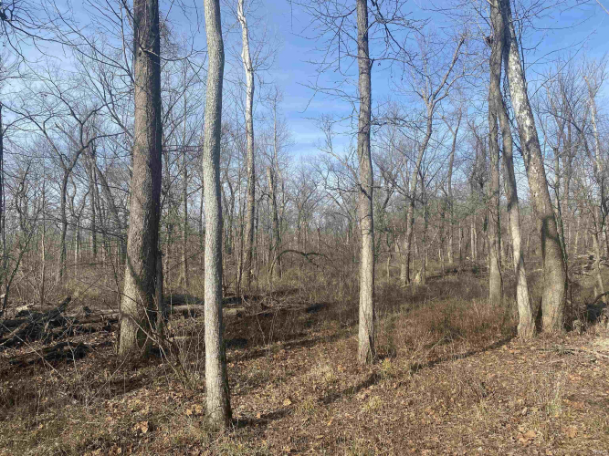 Listing Image 17