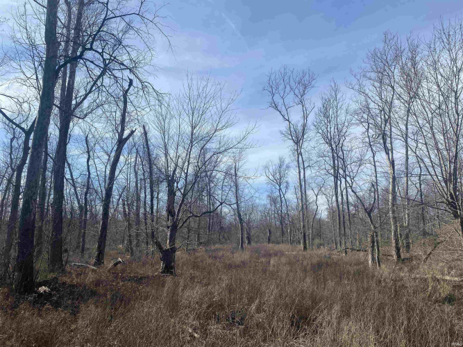 Listing Image 25