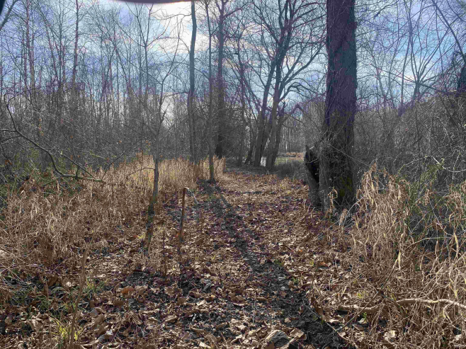 Listing Image 27