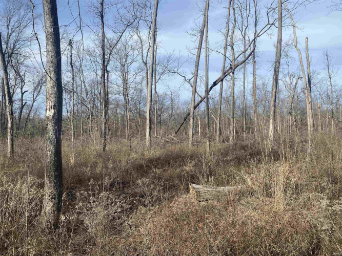 Listing Image 29