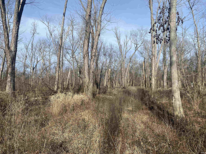 Listing Image 31