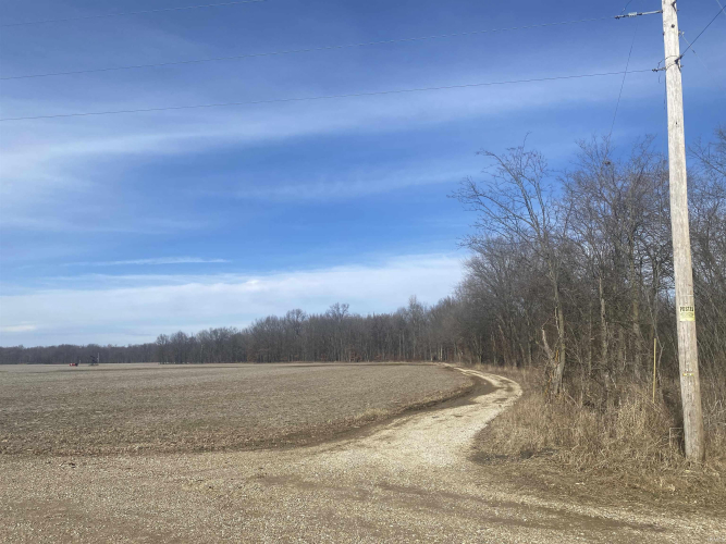 Listing Image 6