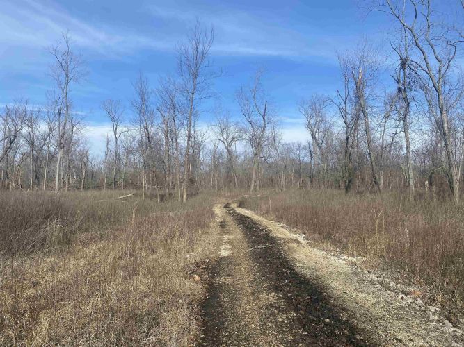 Listing Image 10