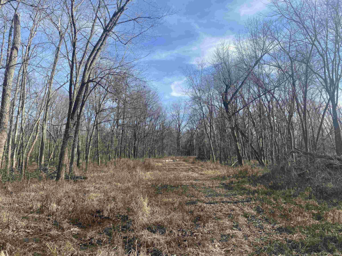 Listing Image 22