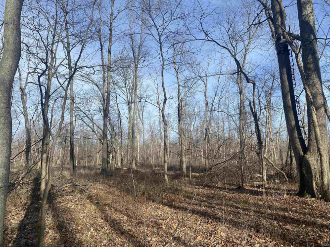 Listing Image 28