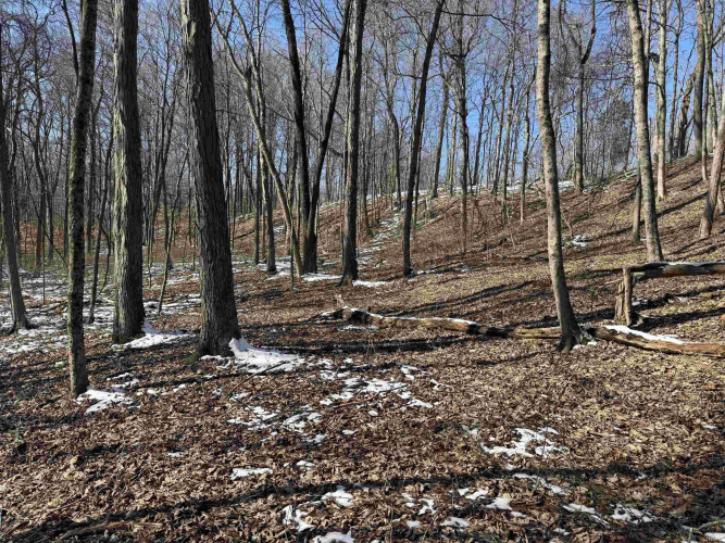 Listing Image 16