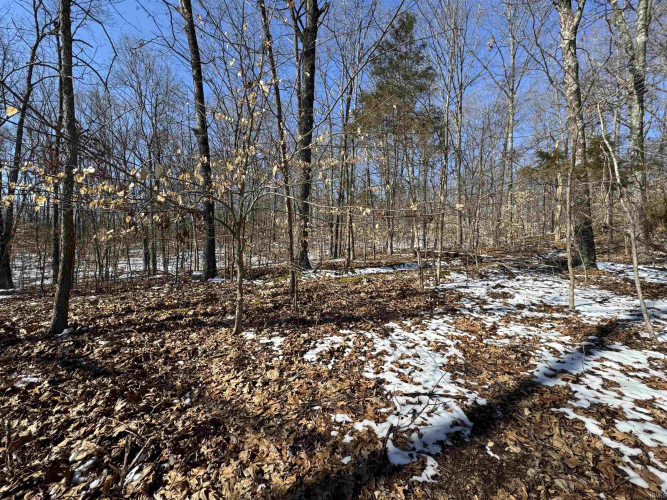 Listing Image 18