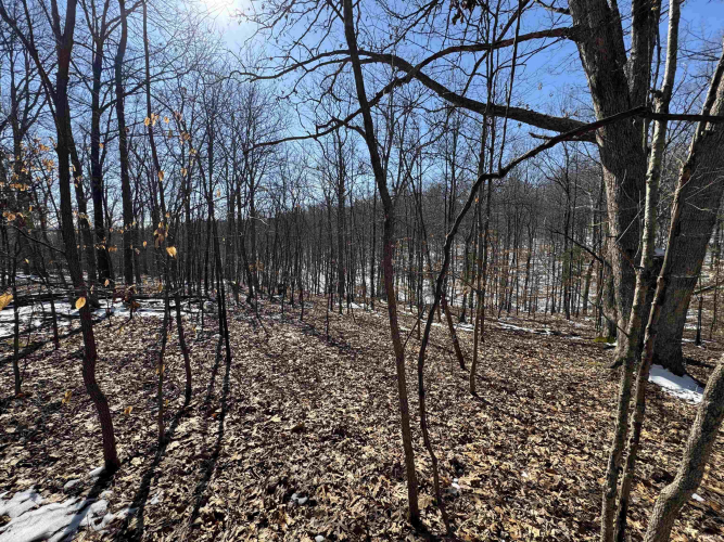 Listing Image 19